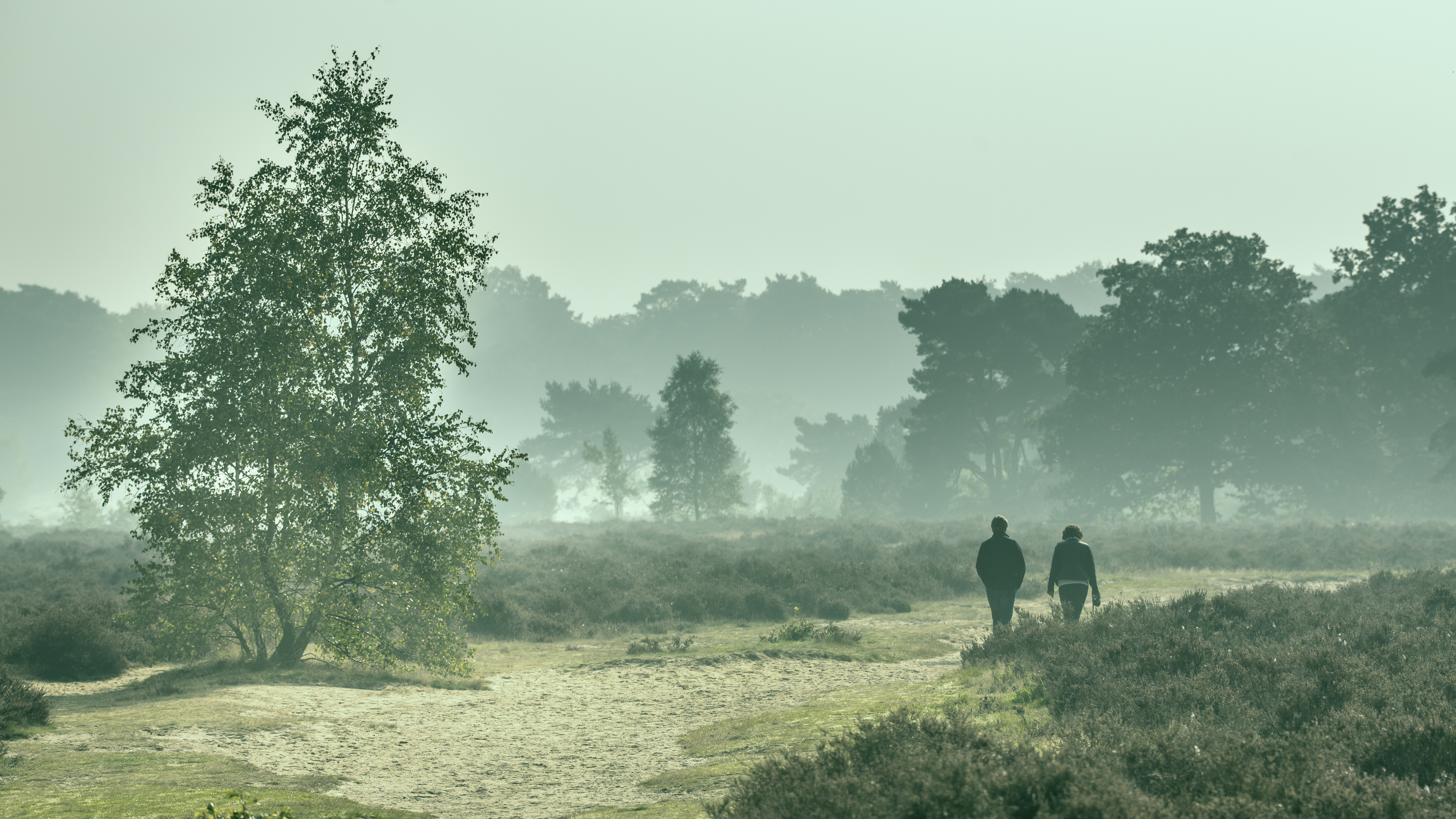 Couple walking along path through heathland on a morning in october under autumn light. Otterlo, Hoge Veluwe, the Netherlands